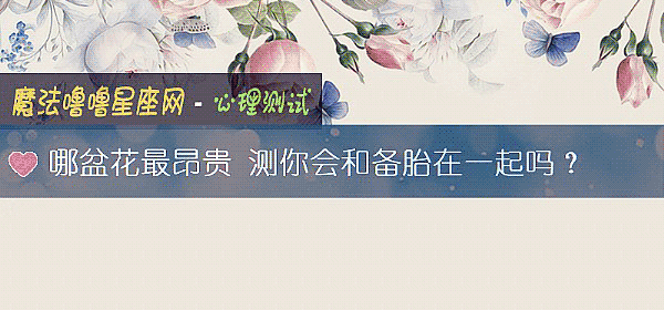 哪盆花最昂贵 测你会和备胎在一起吗？
