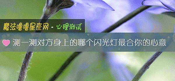 测一测对方身上的哪个闪光灯最合你的心意
