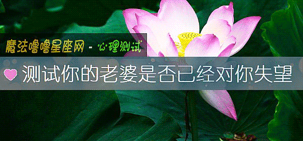 测试你的老婆是否已经对你失望