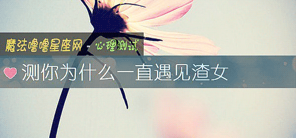 测你为什么一直遇见渣女