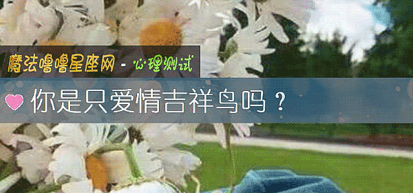 你是只爱情吉祥鸟吗？