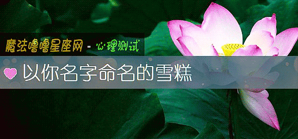以你名字命名的雪糕
