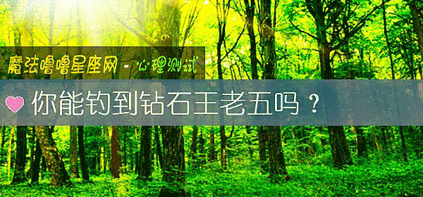 你能钓到钻石王老五吗？