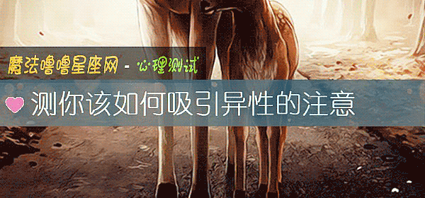 测你该如何吸引异性的注意