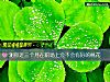 《测你近三个月在<i>职场</i>上会不会有好的桃花》测试