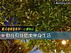 《你在何处结束单身<i>生活</i>》测试
