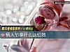 《<i>情人节</i>拿什么送给她》测试