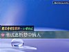《考试透析梦中<i>情人</i>》测试