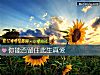 《你能否留住此生<i>真爱</i>》测试