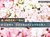 《在<i>爱情</i>中，你是优雅高贵还是容易犯贱？》测试
