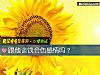 《跟他谈钱会伤<i>感情</i>吗？》测试
