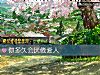 《你多久会厌倦<i>爱人</i>》测试