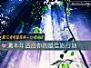 《测本年<i>适合</i>你的最佳旅行地》测试