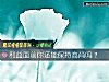 《利益面前你还能保持高尚吗？》测试