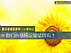 《你们的<i>感情</i>足够坚固吗？》测试