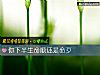 《你<i>下半生</i>命顺还是命歹》测试