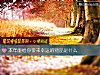 《本年能给你带来<i>幸运</i>的物品是什么》测试