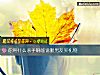 《你用什么杀手锏能说服男友买<i>礼物</i>》测试