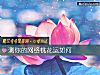 《测你的网络<i>桃花运</i>如何》测试