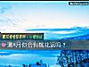 《测8月你会有<i>桃花运</i>吗？》测试