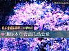 《测你本年会谈几场<i>恋爱</i>》测试