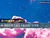 《测试你要花多久才能找到<i>一生</i>所爱》测试