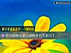《你会跟炮友建立感情并且<i>恋爱</i>吗？》测试