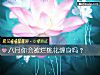《八月你会被烂<i>桃花</i>缠身吗？》测试