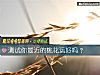 《测试你最近的<i>桃花</i>运好吗？》测试