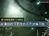 《测你的<i>下半生</i>会不会波澜不惊》测试
