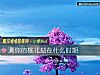 《测你的<i>桃花</i>劫在什么时期》测试