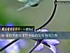 《测你男<i>朋友</i>宠你到底有没有别的企图》测试