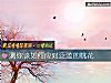 《测你该如何应对泛滥的<i>桃花</i>》测试