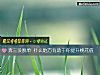 《奔三没脱单 什么地方有助于你提升<i>桃花</i>值》测试