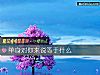 《<i>单身</i>对你来说等于什么》测试