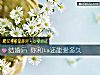 《结<i>婚后</i> 你和ta还能爱多久》测试
