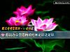 《你玩办公室恋情的<i>结果</i>是好还是坏》测试