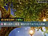 《哪只喜鹊在报喜 测你为何会成为别人的<i>麻烦</i>制造机》测试