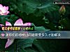 《测你们的<i>感情</i>出问题需要多久才能解决》测试