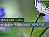 《<i>本年</i>十月测你的异性缘好不好》测试