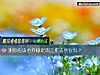 《测你应该舍弃稳定的<i>工作</i>去创业吗？》测试
