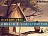 《哪道菜开胃 测什么问题会使你的<i>爱情</i>变敏感》测试