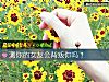 《测你的<i>女友</i>会背叛你吗？》测试