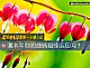 《测本年你的<i>感情</i>姻缘运旺吗？》测试