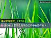 《多少岁之前你会迎来自己的<i>事业</i>巅峰呢？》测试