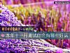 《<i>本年</i>十一月测试你会有哪些好运》测试