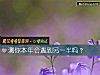 《测你本年会<i>遇到</i>另一半吗？》测试