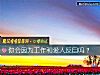 《你会因为工作和<i>爱人</i>反目吗？》测试