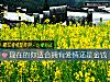 《现在的你<i>适合</i>拥有爱情还是金钱》测试