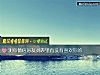 《测你微信好友列表里有没有<i>喜欢</i>你的》测试